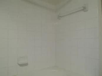 bigdicktrannynicole — Chaturbate recorded stream screenshot (20 Feb 2026)