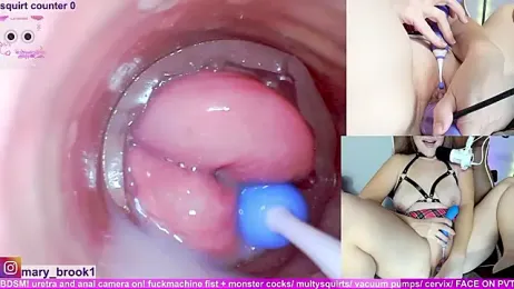 MaryBrook1 — Stripchat recorded stream screenshot (21 Feb 2026)