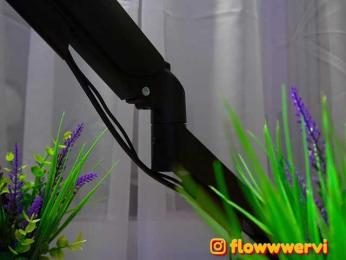 FlowwwerGirl — Bongacams recorded stream screenshot (22 Feb 2026)