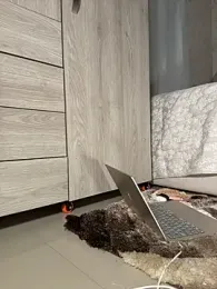 cutefatii — Stripchat recorded stream screenshot (24 Feb 2026)