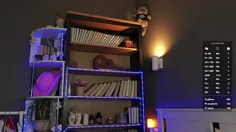 DarylBarks — Stripchat recorded stream screenshot (27 Feb 2026)