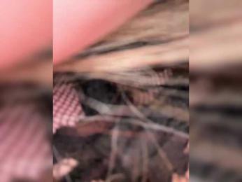 VictoriaFoxxx — Bongacams recorded stream screenshot (03 Mar 2026)