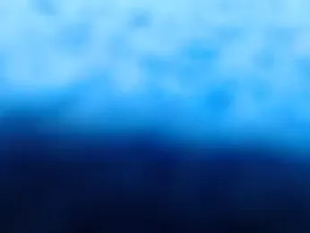 ladyshasha — Stripchat recorded stream image, 05.03.2026 04:10