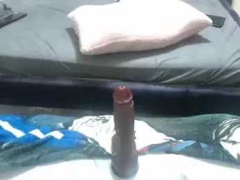 ladyshasha — Stripchat recorded stream image, 11.03.2026 04:30