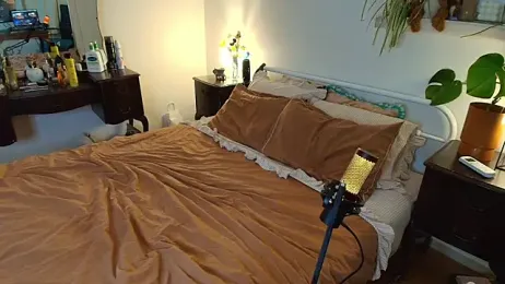 Lenas_Room — Stripchat recorded stream image, 13.03.2026 06:40