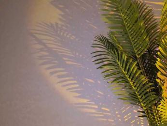 Maribett — Bongacams recorded stream image, 17.03.2026 20:00