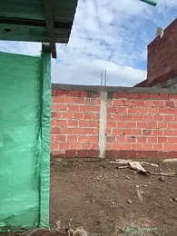 DIANITA_1988 — Stripchat recorded stream image, 07.03.2025 13:30