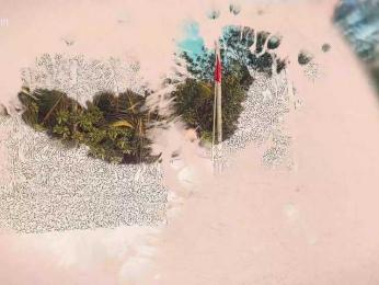 Taanni — Bongacams recorded stream image, 19.03.2026 03:10