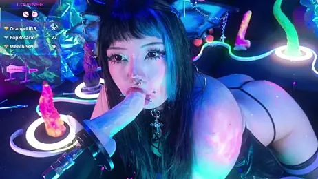 LaytonBox — Stripchat recorded stream image, 19.03.2026 12:30