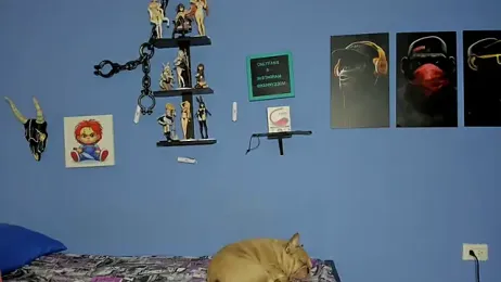 louchart_boys — Stripchat recorded stream screenshot (21 Mar 2026)