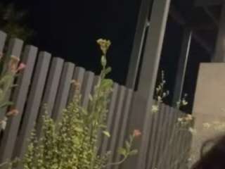 carmensindiego — Camsoda recorded stream image, 22.03.2026 03:00