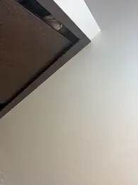 Lander_Cruz — Stripchat recorded stream image, 23.03.2026 18:20