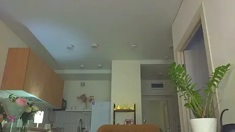 Lili_Roze_ — Stripchat recorded stream image, 26.03.2026 05:30