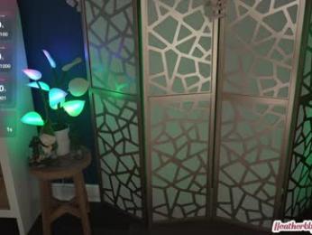 heatherbby — Chaturbate recorded stream image, 08.03.2025 01:10