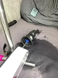 Lola_Hale — Stripchat recorded stream screenshot (31 Mar 2026)