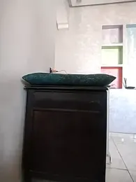 Dalou3a-69 — Stripchat recorded stream image, 01.04.2026 11:50