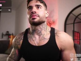 dominic_sullivan1 — Chaturbate recorded stream screenshot (02 Apr 2026)