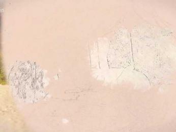 Taanni — Bongacams recorded stream image, 05.04.2026 23:20