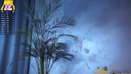 EdlinHargus — Stripchat recorded stream screenshot (08 Apr 2026)