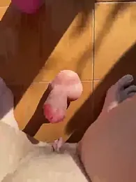 Wet-Pussycat — Stripchat recorded stream image, 08.04.2026 12:00