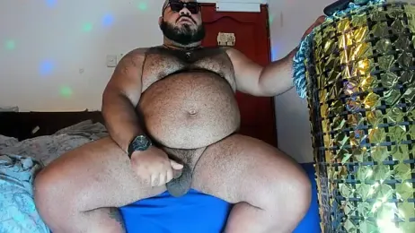 Bearspigdirty — Stripchat recorded stream image, 10.04.2026 22:20