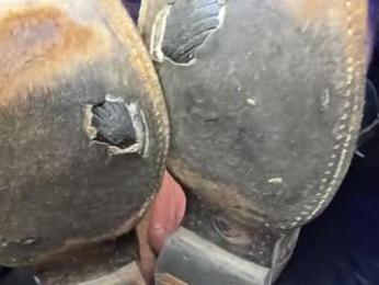 lancehardwood222 — Chaturbate recorded stream image, 14.04.2026 00:10