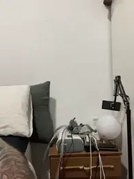 morfeoX — Stripchat recorded stream image, 14.04.2026 09:20