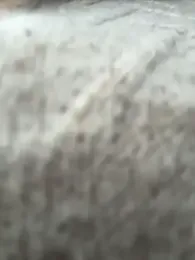 LIZ-06_ — Stripchat recorded stream image, 16.04.2026 18:10