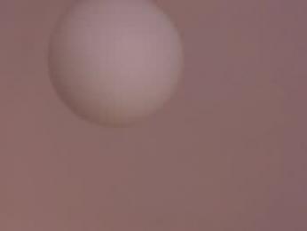 margarethowell — Chaturbate recorded stream image, 18.04.2026 18:00