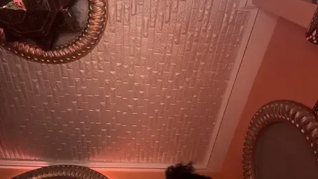 ORLA86 — Stripchat recorded stream screenshot (08 Mar 2025)