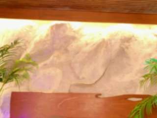 alison-mooon — Camsoda recorded stream image, 21.04.2026 22:10