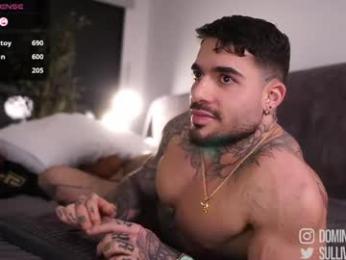 dominic_sullivan1 — Chaturbate recorded stream image, 02.05.2026 02:10
