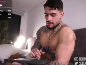 dominic_sullivan1 — Chaturbate recorded stream image, 02.05.2026 02:10