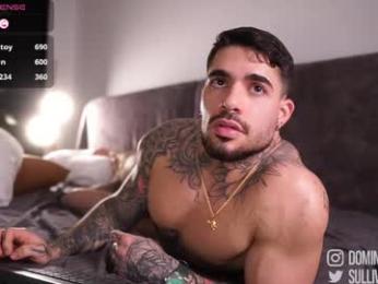 dominic_sullivan1 — Chaturbate recorded stream image, 02.05.2026 02:10