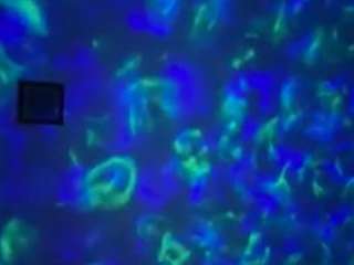 sexysagittarius1212 — Camsoda recorded stream image, 04.05.2026 01:20