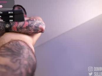 dominic_sullivan1 — Chaturbate recorded stream image, 14.05.2026 04:50