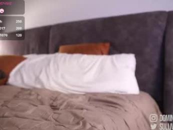 dominic_sullivan1 — Chaturbate recorded stream image, 14.05.2026 04:50