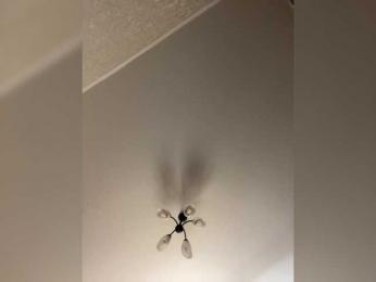 HellMor — Bongacams recorded stream image, 15.05.2026 13:40