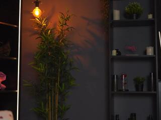 Evelyn Evy — Flirt4free recorded stream image, 24.05.2026 18:30