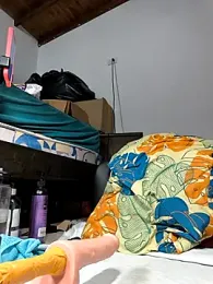 shelby_kutter — Stripchat recorded stream image, 05.06.2026 17:00