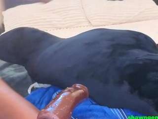 shawn-geni — Camsoda recorded stream image, 20.06.2026 20:30