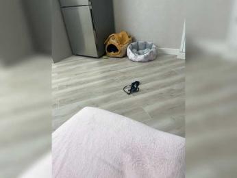 CuteKitty00 — Bongacams recorded stream image, 27.06.2026 11:20