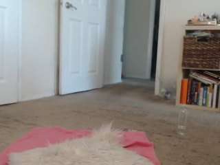 elegance — Camsoda recorded stream image, 03.07.2026 16:10