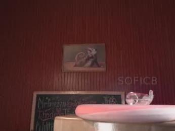 soficb — Chaturbate recorded stream image, 10.07.2026 01:40