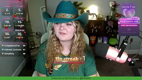 Briieverly — Stripchat recorded stream image, 28.07.2026 01:50