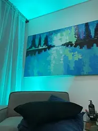 DimitriSullivan_ — Stripchat recorded stream image, 28.07.2026 21:00