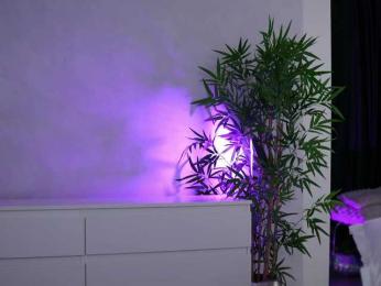 ArtTeasee — Bongacams recorded stream image, 29.07.2026 07:00