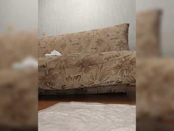 Alisa-33 — Bongacams recorded stream image, 02.08.2026 07:30