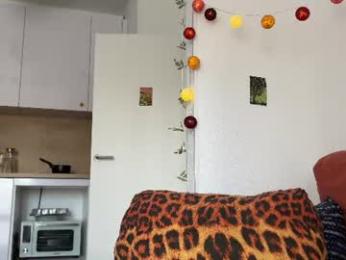 di_n_alex — Chaturbate recorded stream image, 02.08.2026 09:20