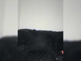 BABYam — Bongacams recorded stream image, 07.08.2026 05:20
